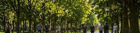 Landscaped public green space with trees and walking paths