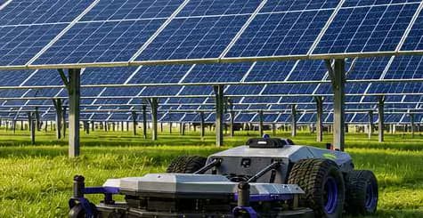 Pandag G1 mowing vegetation beneath a solar array